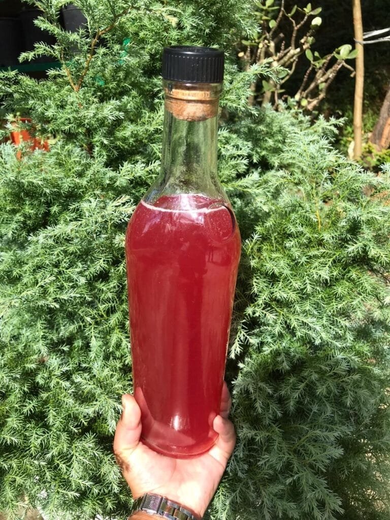 Here's how to make wine out of Langkau Chi 5 Langkau chi 4