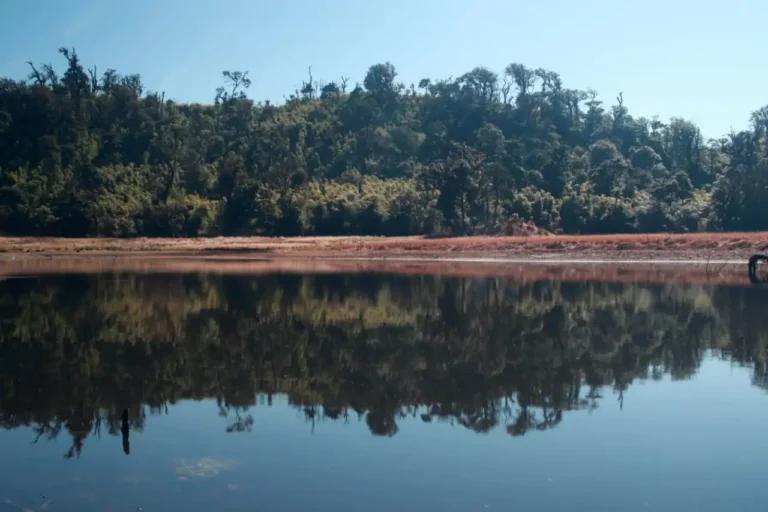 Zaimeng lake: A unique wetland ecosystem