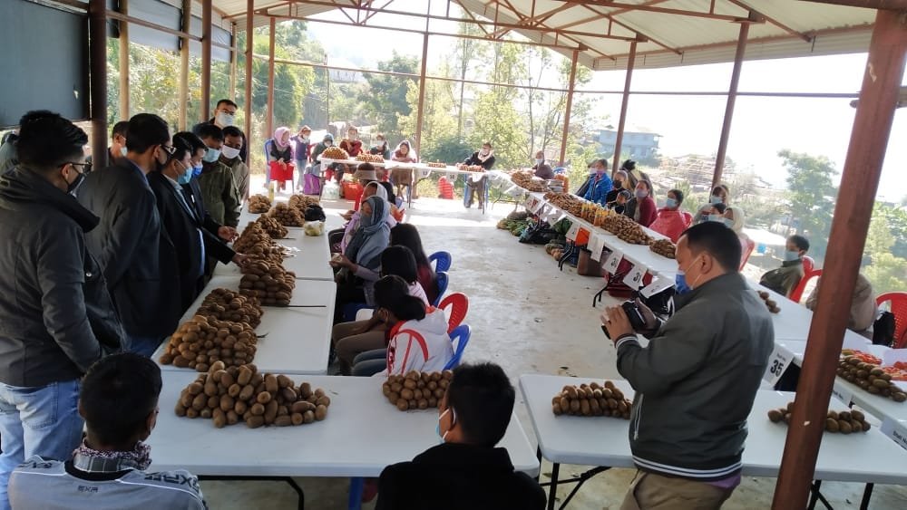 The 3rd State Level Kiwi Fruit Festival held at Purul Akutpa village 3 Kiwi Fruit Festival