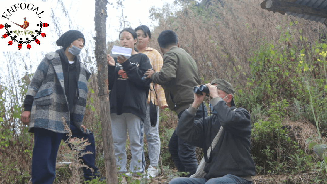 A nonprofit in Ukhrul, 'Bird Walks' to observe World Wildlife Day 2021 at Kahum Langdang 2 Photo 1614752726643 1