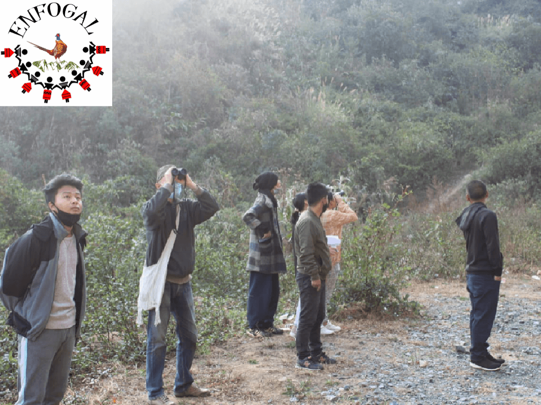 A nonprofit in Ukhrul, 'Bird Walks' to observe World Wildlife Day 2021 at Kahum Langdang 3 Photo 1614753893755 1