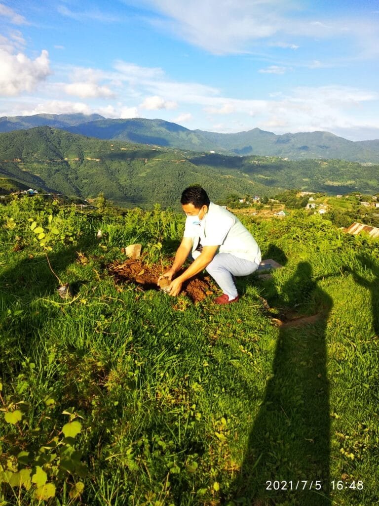 NPF Ukhrul division organises tree plantation day 2 3339082E 9108 49DB AD21 0CF0D57D4E3E