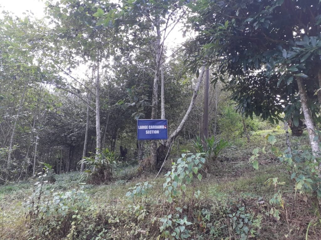 NEC Project Implemented by ICAR, Manipur Centre/KVK, Ukhrul, NEH Region Inspects at Ramvaa, Hungpung 2 NEC visit Ramvaa and Hungpung 3