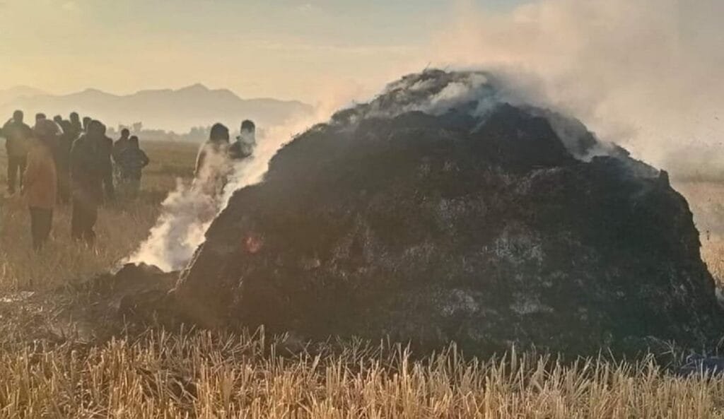 Paddy stack burnt down by miscreants in Imphal West district