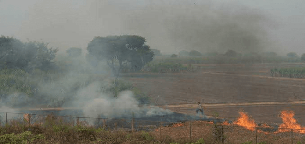 Trading skills before opportunities burns: A journey in the gold-fields of Senapati District, Manipur 2 image 1
