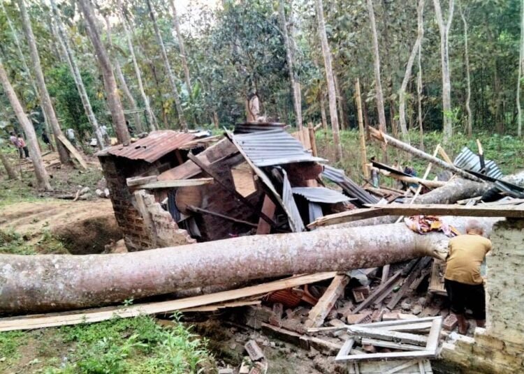 Tree falls on house; one 15-year-old dead