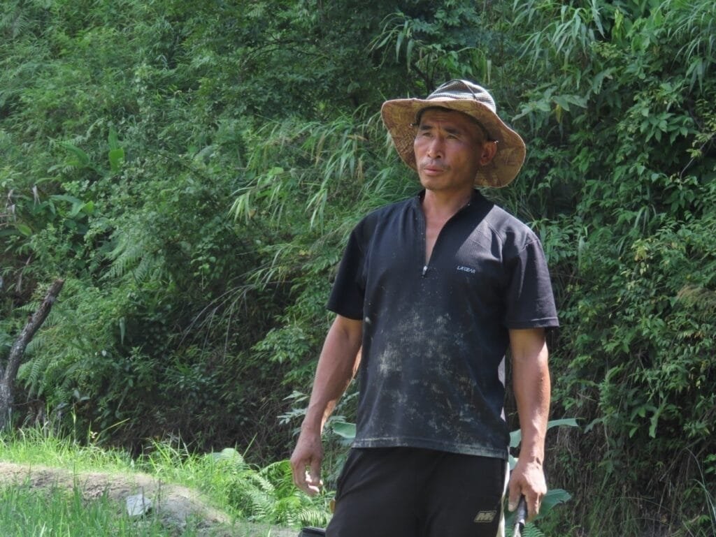 The fungal hypha- Can it improve the Kachai champra (Citrus Jambhiri Lush.) (G.I. No.-466) farm soils? 1 Yangmiso Humao a traditional knowledge holder of Citrus jambhiri from Kachai village who cultivates hyphae on citrus farm soil to improve soil health