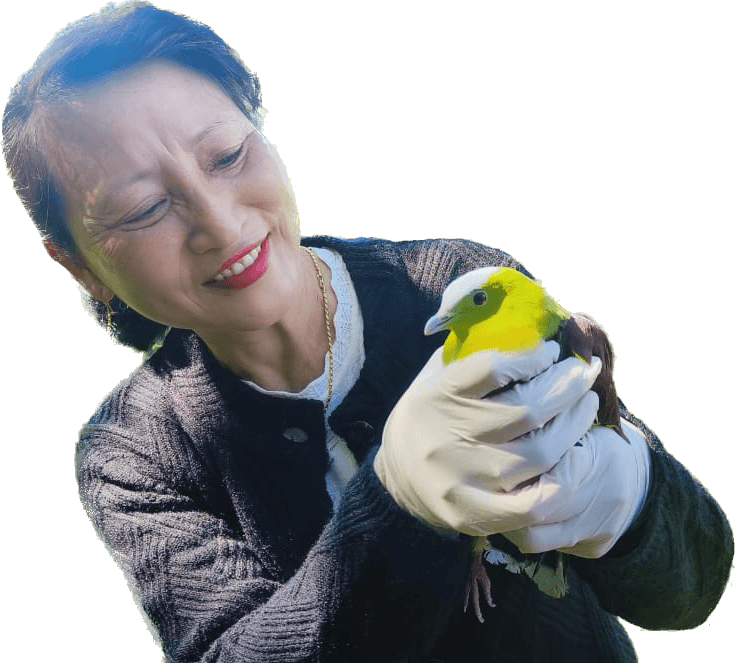 Migratory bird safely released at Shirui 1 image